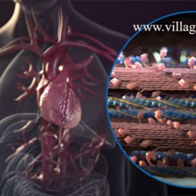 Best Medical and Healthcare Video Production Companies in Dubai, UAE