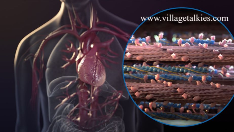 Best Medical and Healthcare Video Production Companies in Dubai, UAE