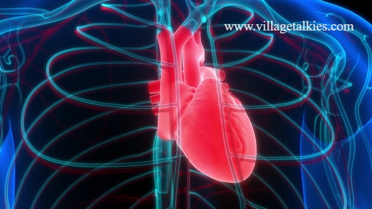 Best 5 Medical and Healthcare Video Production Companies in California, USA